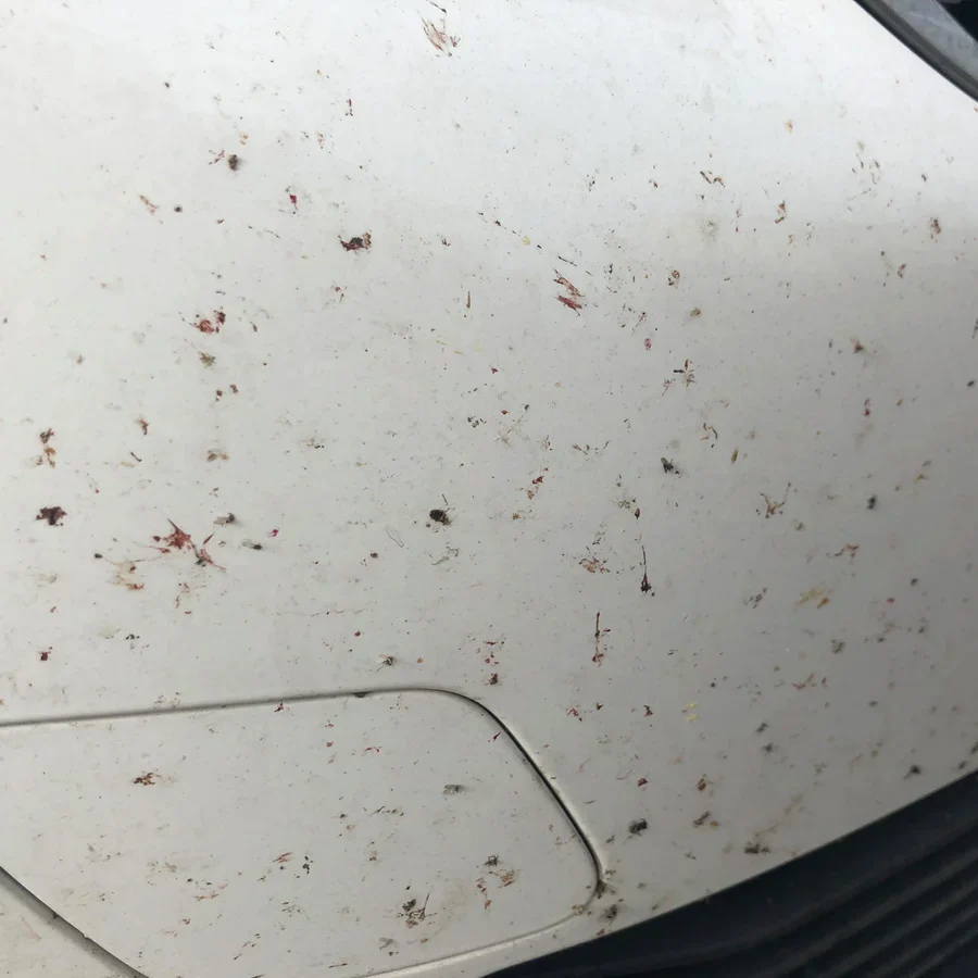 Infinity Wax Insect Strip - Image 3