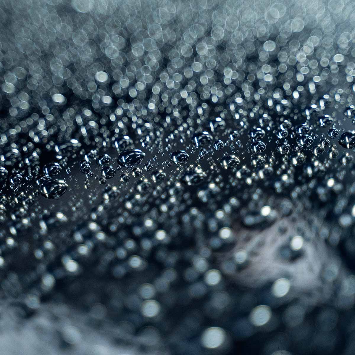 Labocosmetica Revitax (Wash & Coat Shampoo) - Image 7
