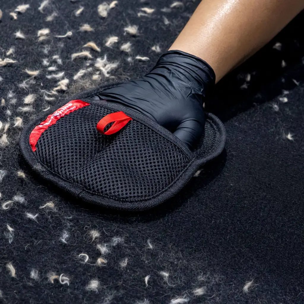Maxshine Electrostatic Pet Hair Removal Mitt Set - Image 4